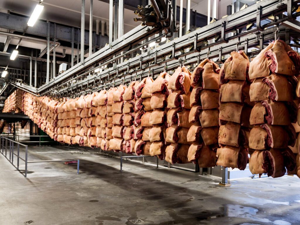 صنعت تولید گوشت