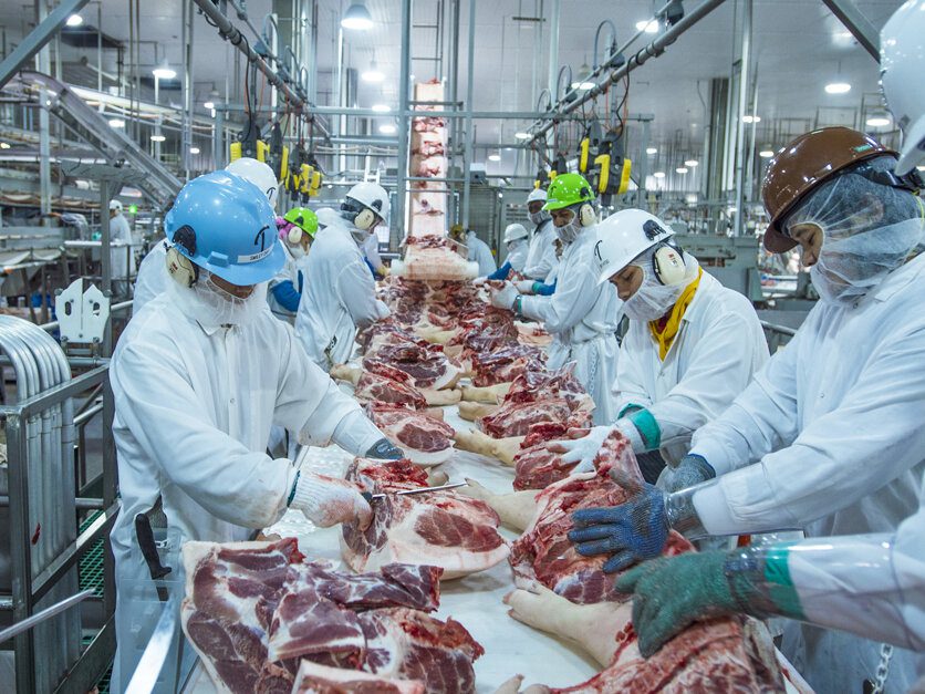 صنعت تولید گوشت در دانمارک