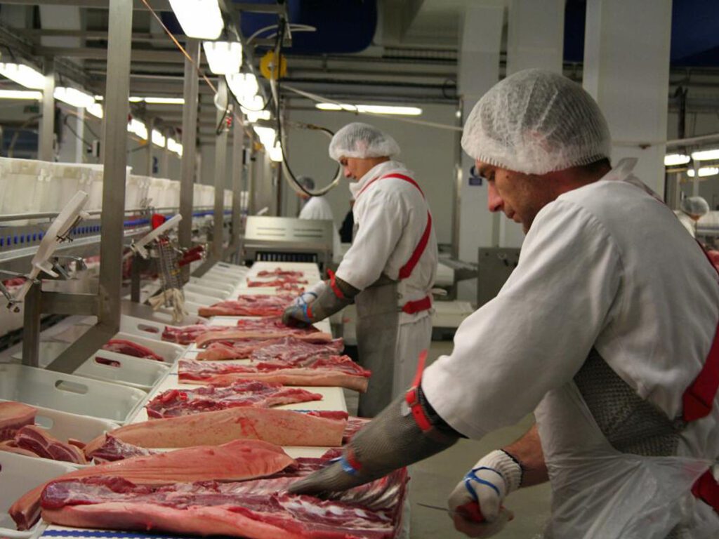 کارخانه تولید گوشت در دانمارک
