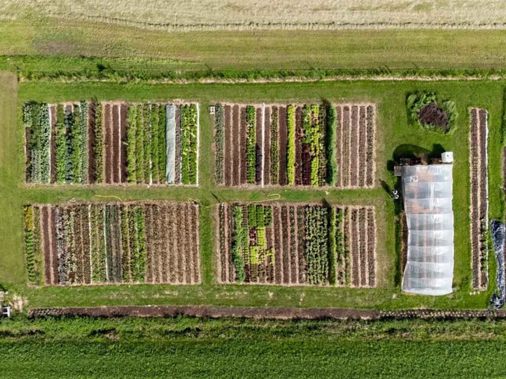 کشاورزی کشور هلند
